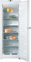 Miele FN 12621 S-1