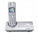Panasonic KX-TG8100