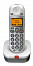 Amplicomms BigTel 201